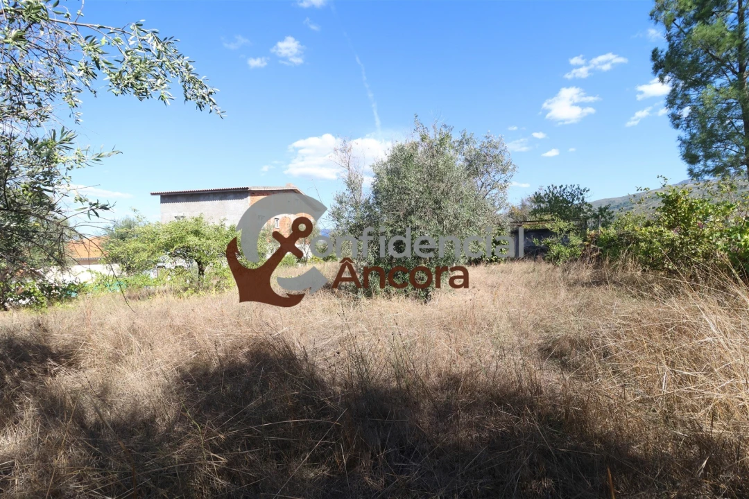 Terreno para Venda em São Paio Foto 15