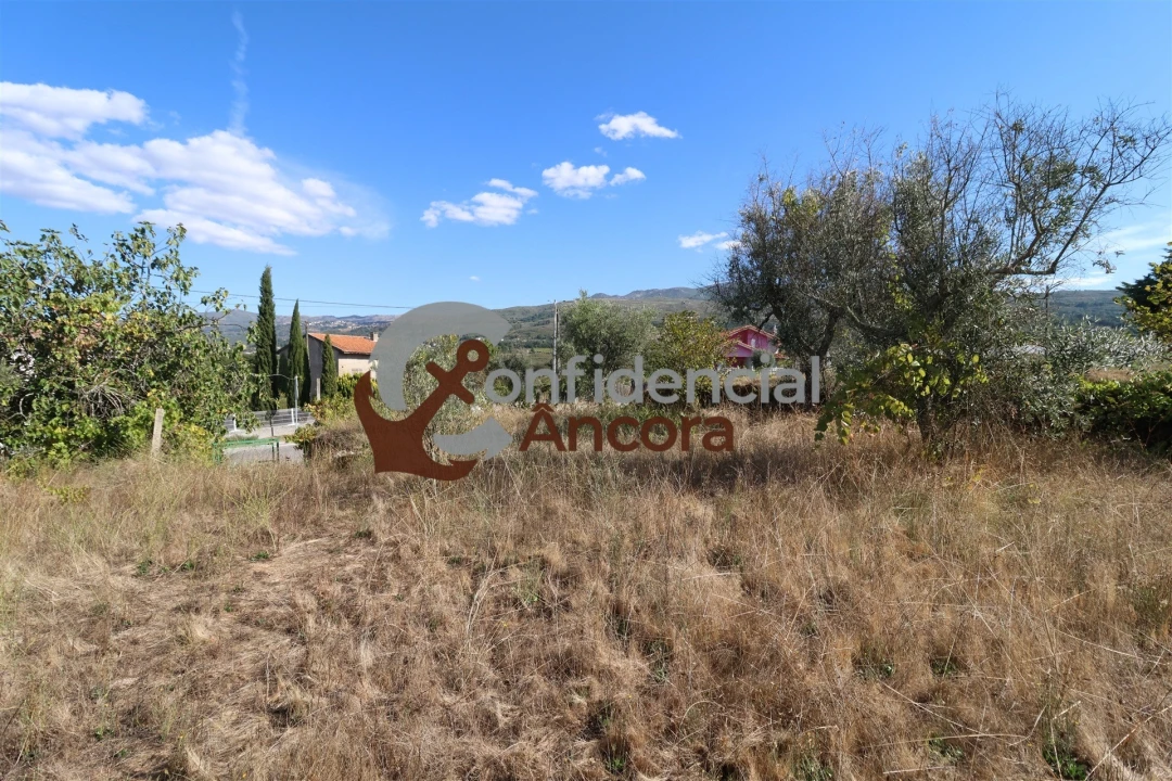 Terreno para Venda em São Paio Foto 13