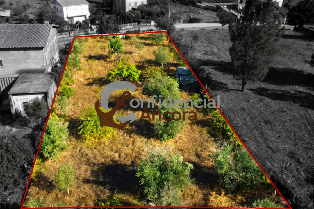 Terreno para Venda em São Paio Foto 20