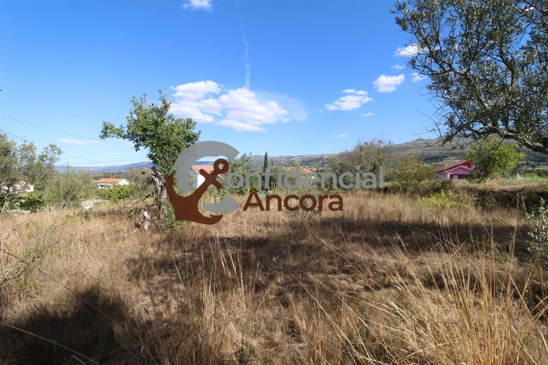 Terreno para Venda em São Paio Foto 18