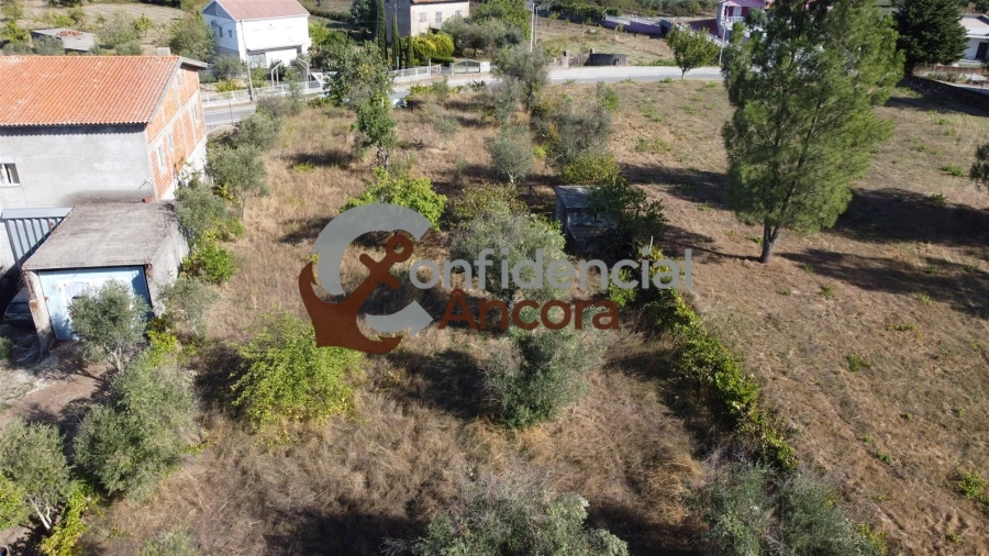 Terreno para Venda em São Paio Foto 2