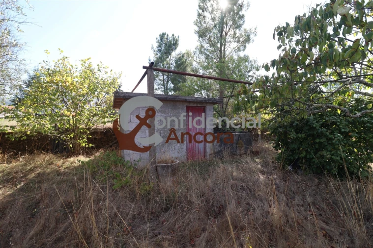Terreno para Venda em São Paio Foto 17