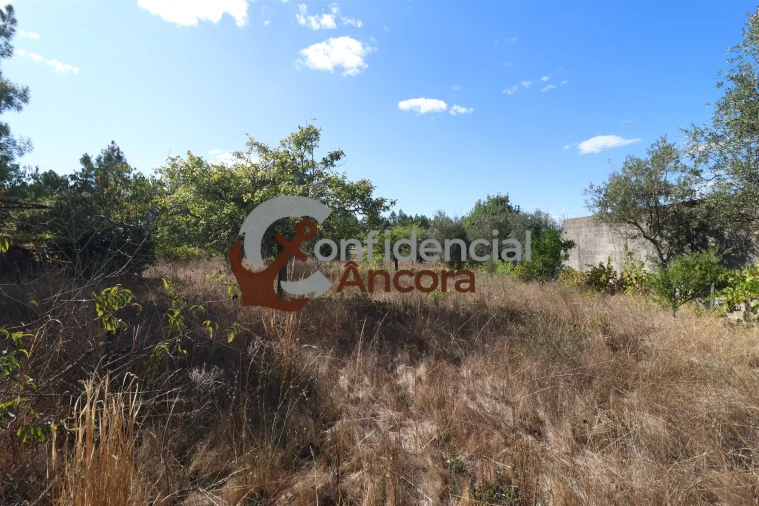 Terreno para Venda em São Paio Foto 11
