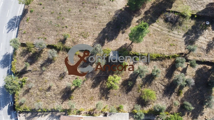 Terreno para Venda em São Paio Foto 8