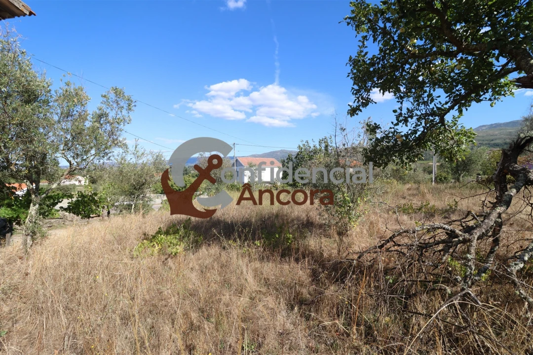 Terreno para Venda em São Paio Foto 10