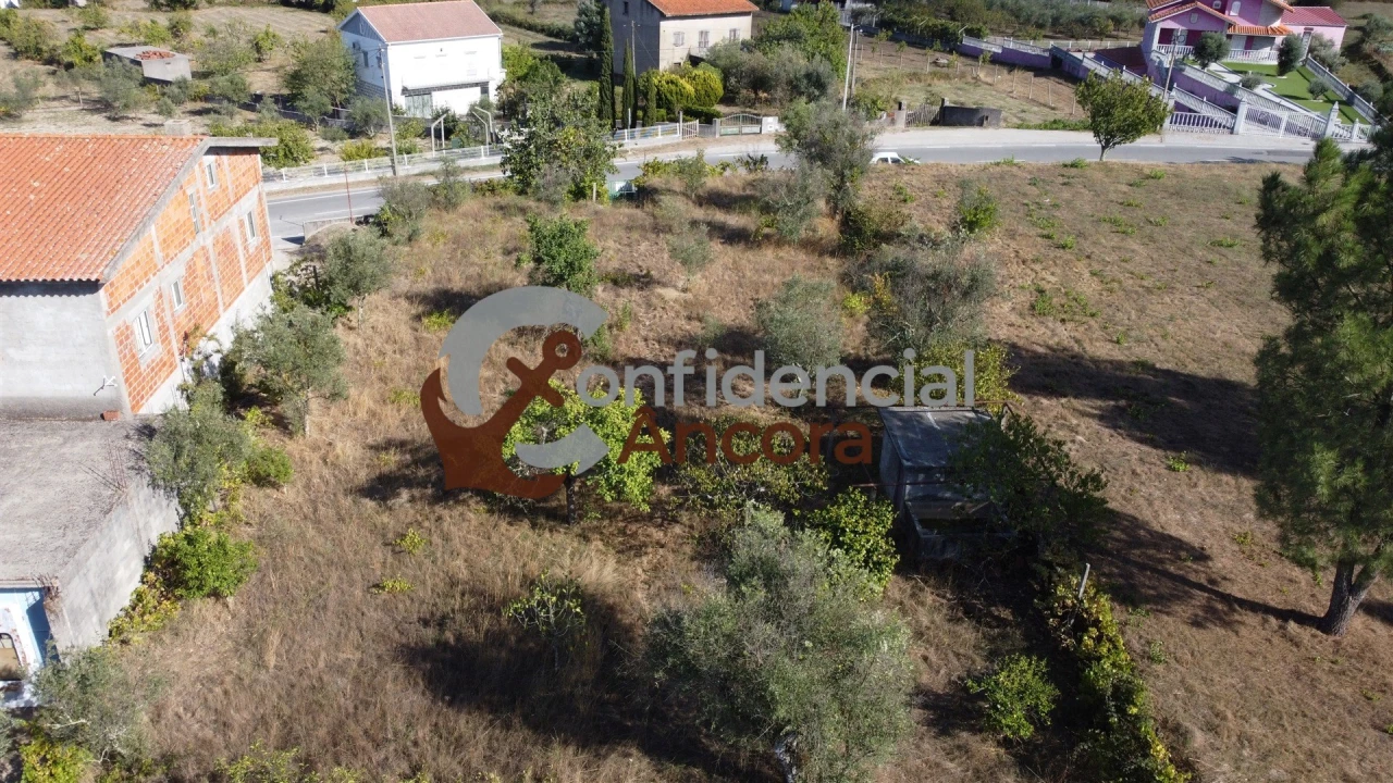 Terreno para Venda em São Paio Foto 3