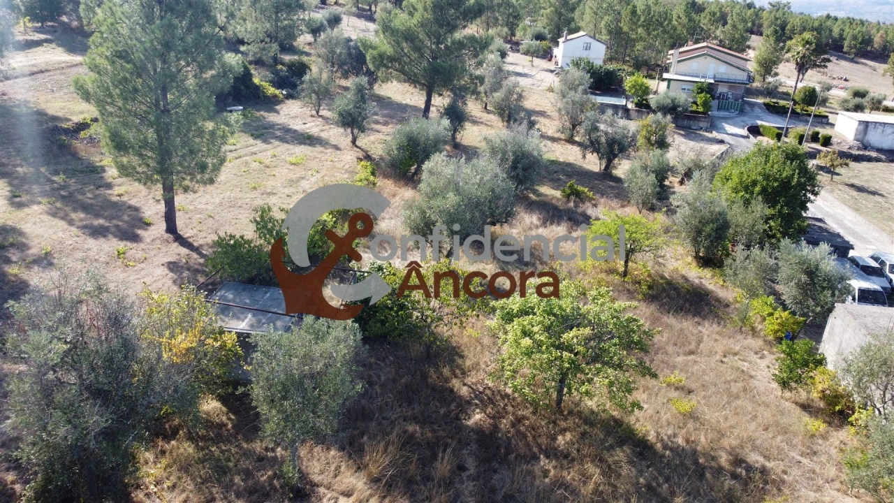 Terreno para Venda em São Paio Foto 7