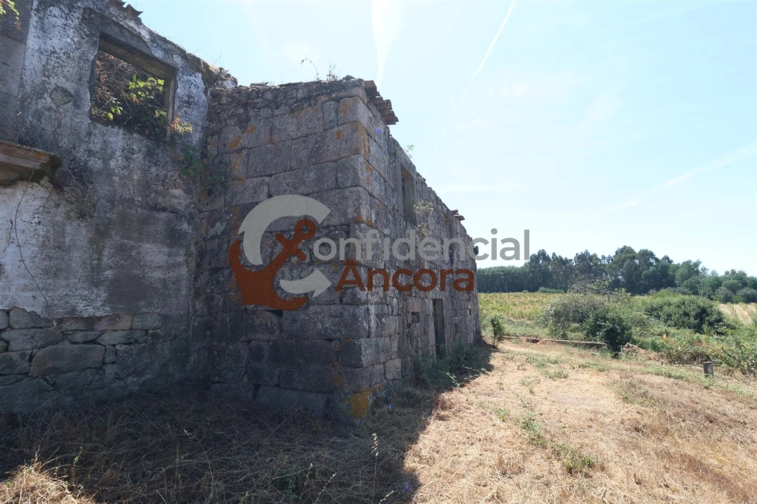 Moradia T3 para Venda em Rio Torto e Lagarinhos Foto 4