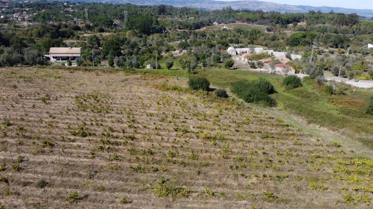 Terreno para Venda em Rio Torto e Lagarinhos Foto 30