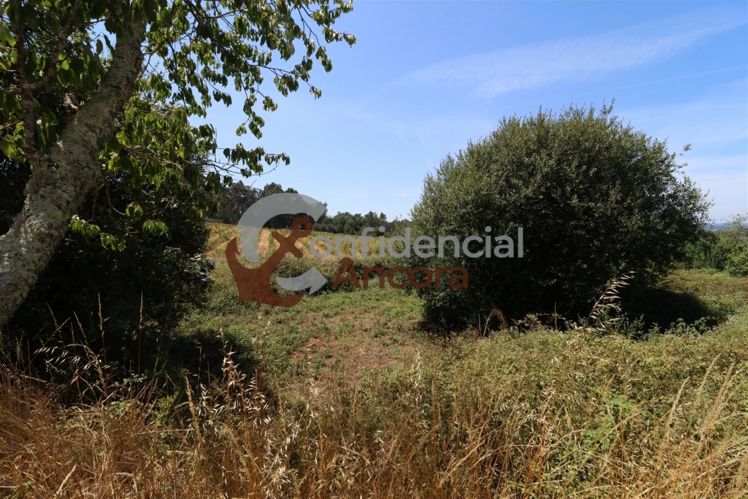 Terreno para Venda em Rio Torto e Lagarinhos Foto 17