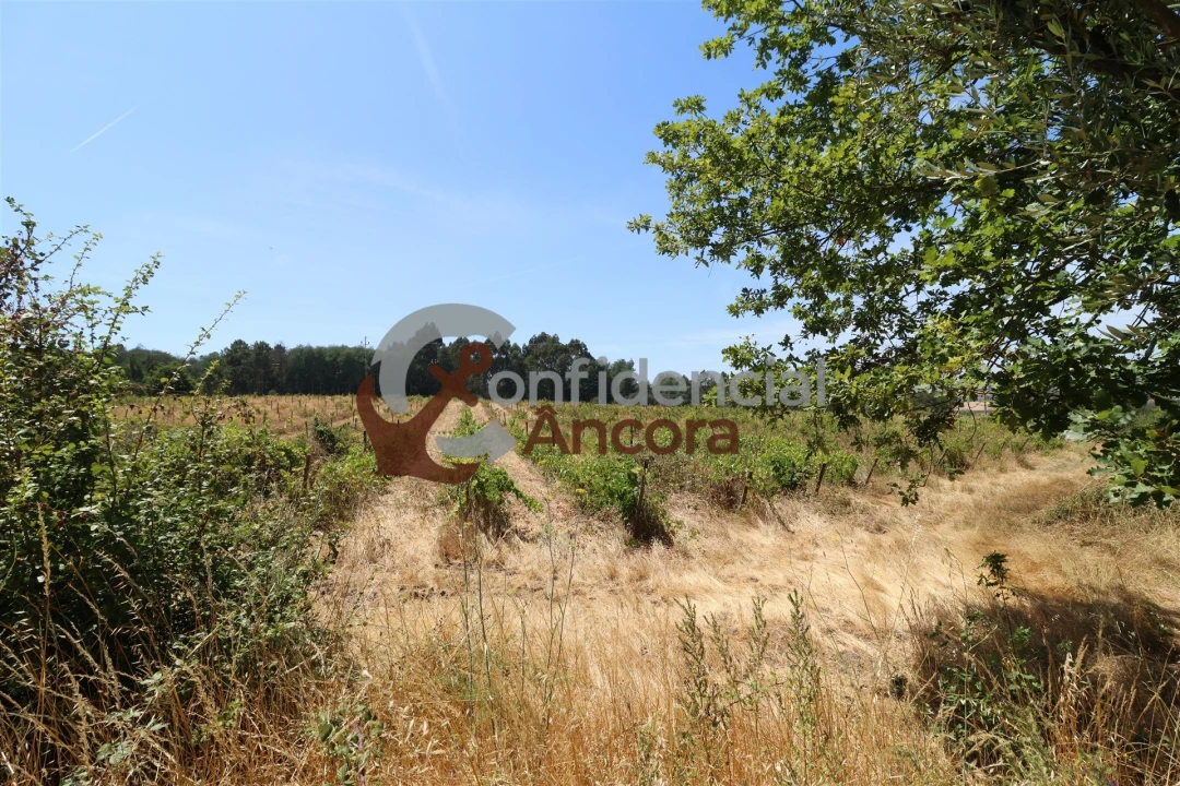 Terreno para Venda em Rio Torto e Lagarinhos Foto 1