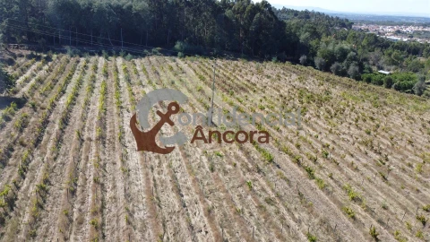 Terreno para Venda em Rio Torto e Lagarinhos