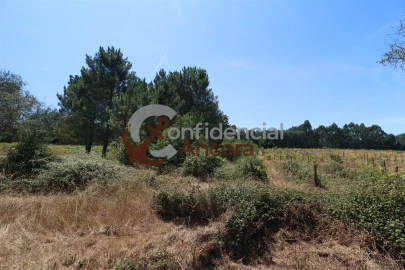 Terreno para Venda em Rio Torto e Lagarinhos