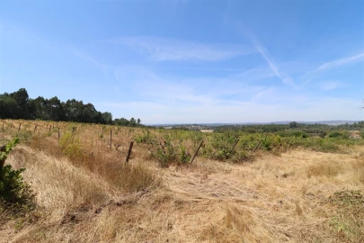 Terreno para Venda em Rio Torto e Lagarinhos
