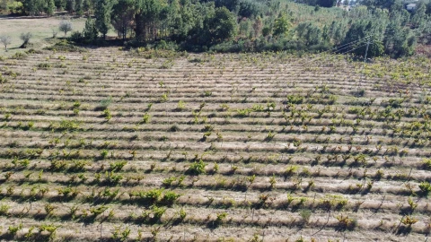 Terreno para Venda em Rio Torto e Lagarinhos