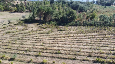 Terreno para Venda em Rio Torto e Lagarinhos