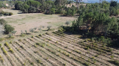 Terreno para Venda em Rio Torto e Lagarinhos
