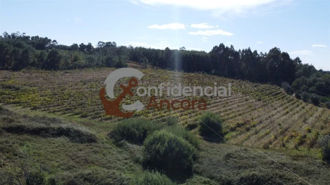 Terreno para Venda em Rio Torto e Lagarinhos
