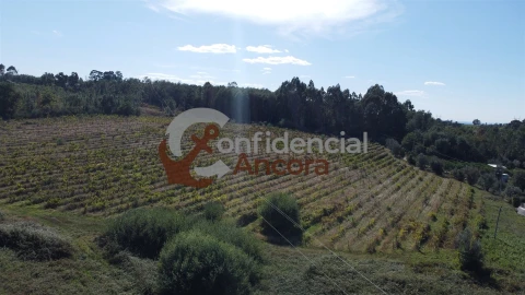 Terreno para Venda em Rio Torto e Lagarinhos