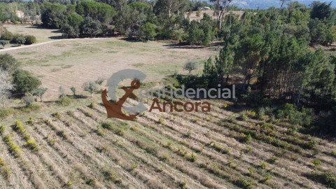 Terreno para Venda em Rio Torto e Lagarinhos