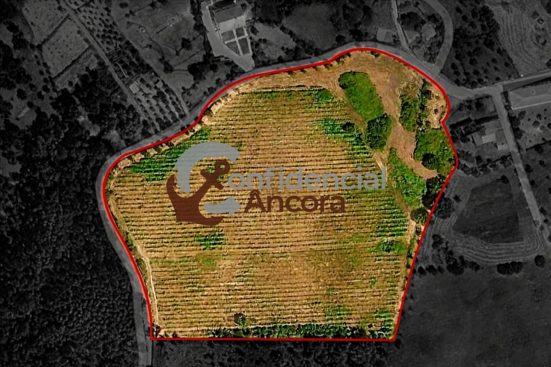 Terreno para Venda em Rio Torto e Lagarinhos Foto 22