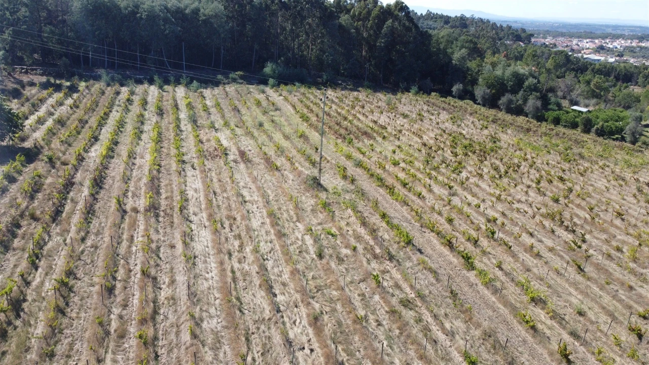 Terreno para Venda em Rio Torto e Lagarinhos Foto 32