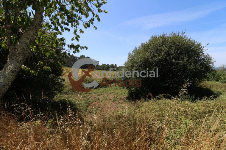 Terreno para Venda em Rio Torto e Lagarinhos Foto 17