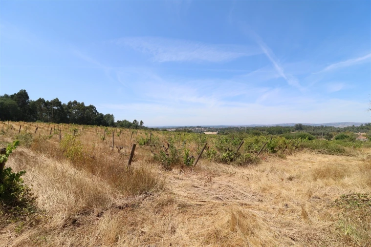 Terreno para Venda em Rio Torto e Lagarinhos Foto 40