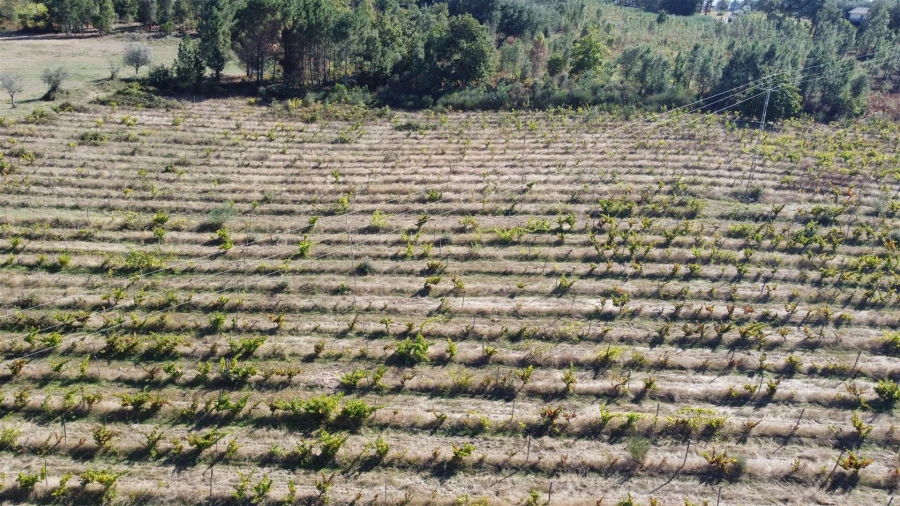 Terreno para Venda em Rio Torto e Lagarinhos Foto 27