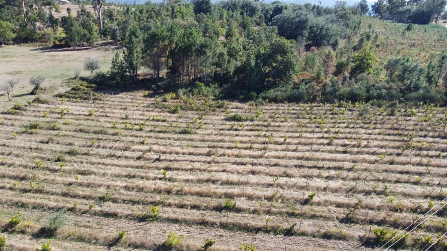 Terreno para Venda em Rio Torto e Lagarinhos Foto 28