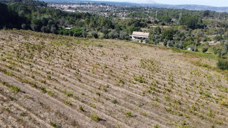 Terreno para Venda em Rio Torto e Lagarinhos Foto 31