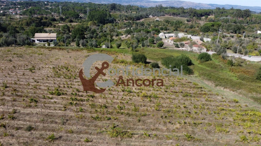 Terreno para Venda em Rio Torto e Lagarinhos Foto 9