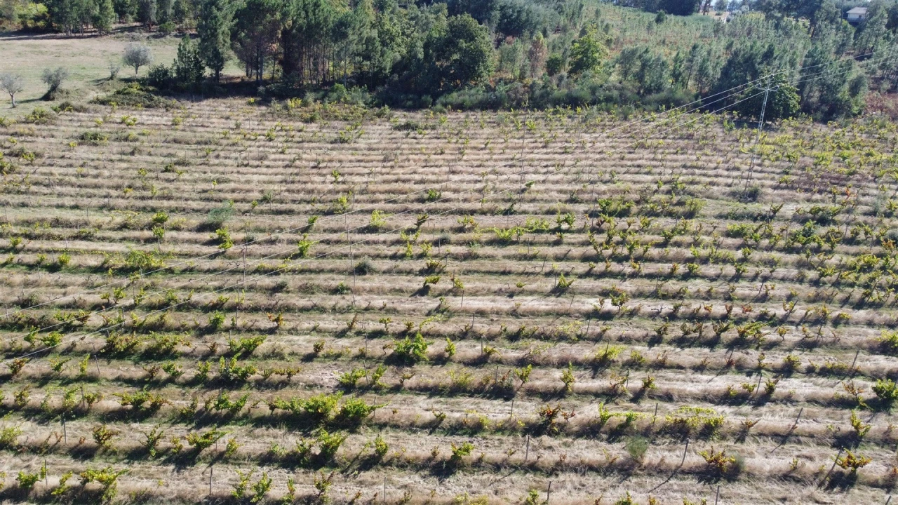 Terreno para Venda em Rio Torto e Lagarinhos Foto 27