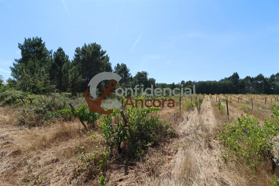 Terreno para Venda em Rio Torto e Lagarinhos Foto 20
