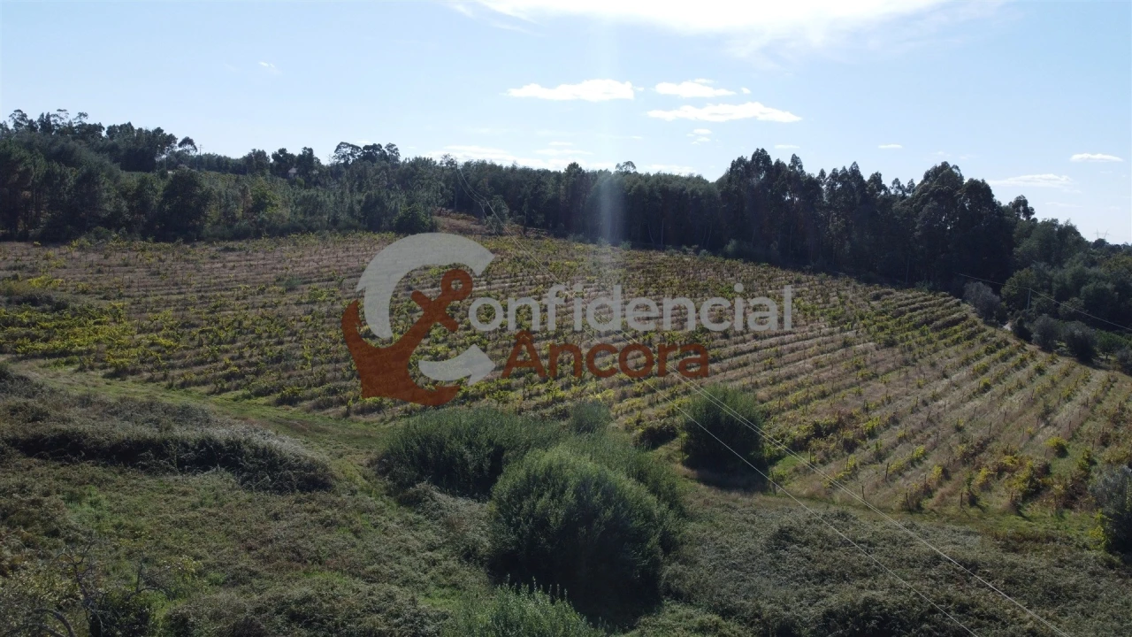 Terreno para Venda em Rio Torto e Lagarinhos Foto 2