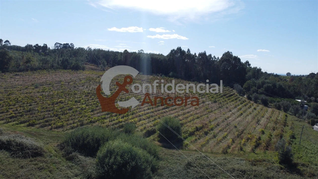 Terreno para Venda em Rio Torto e Lagarinhos Foto 3