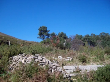 Terreno para Venda em Gondomil e Sanfins