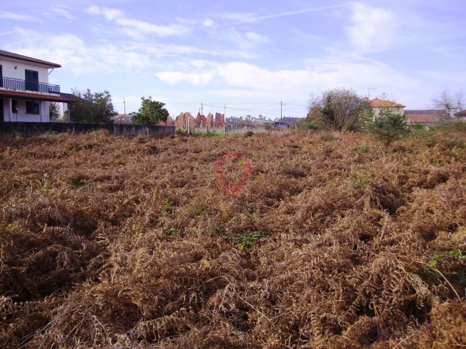 Terreno para Venda em Bela Foto 2