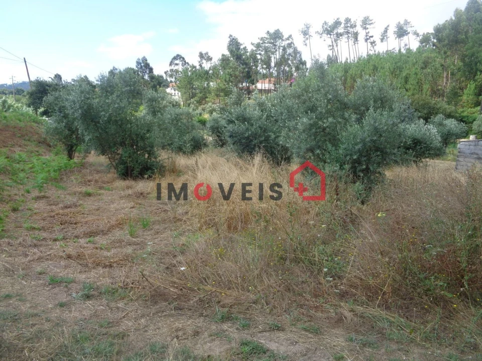 Terreno para Venda em Gondemaria e Olival Foto 2