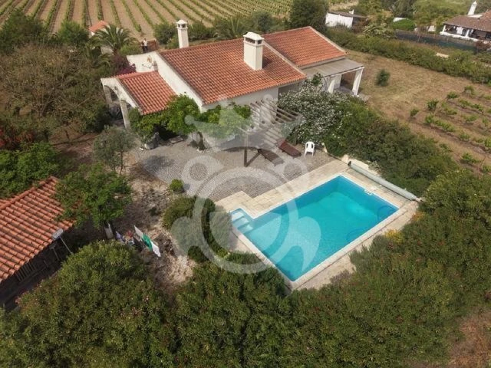 Quinta T3 para Venda em Reguengos de Monsaraz Foto 2