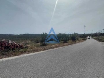 Terreno para Venda em Souto da Carpalhosa e Ortigosa