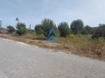 Terreno para Venda em Souto da Carpalhosa e Ortigosa