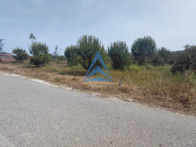 Terreno para Venda em Souto da Carpalhosa e Ortigosa Foto 16