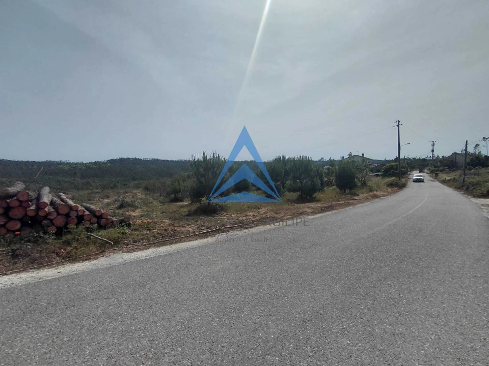 Terreno para Venda em Souto da Carpalhosa e Ortigosa Foto 13