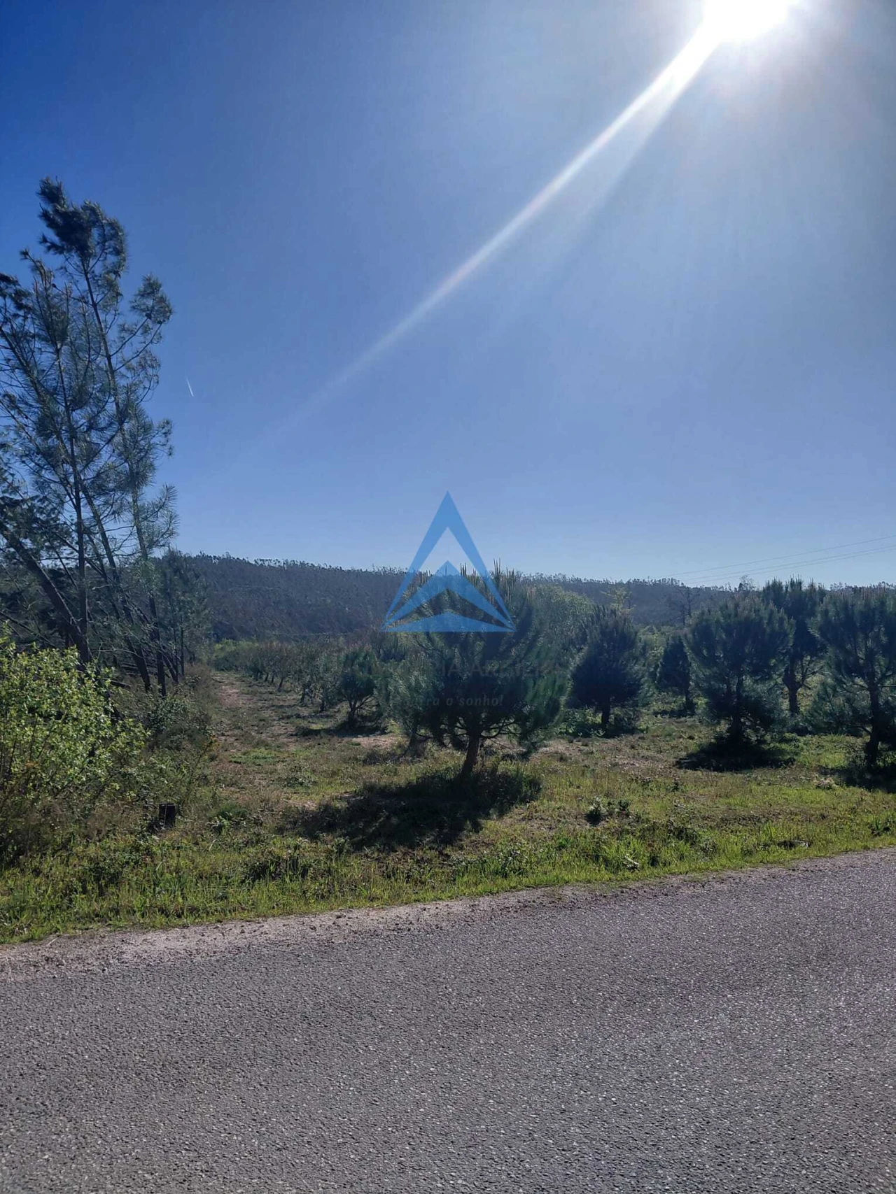 Terreno para Venda em Souto da Carpalhosa e Ortigosa Foto 12