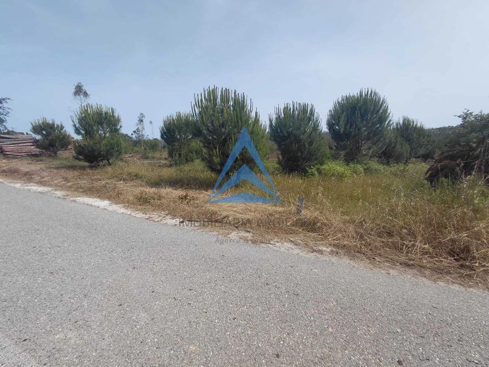 Terreno para Venda em Souto da Carpalhosa e Ortigosa Foto 16