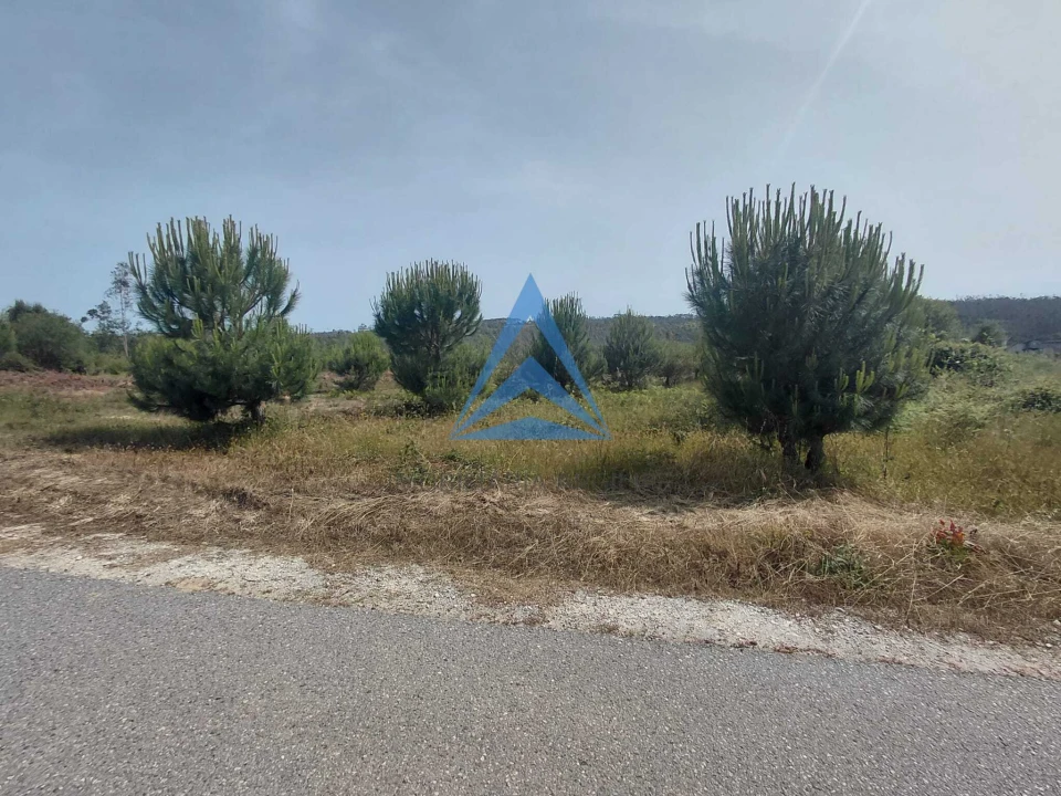 Terreno para Venda em Souto da Carpalhosa e Ortigosa Foto 15