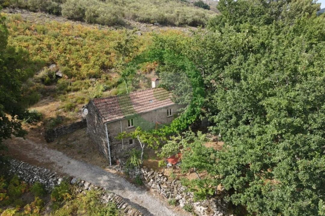Moradia T2 para Venda em Vilar e Viveiro Foto 2