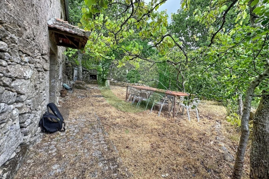 Moradia T2 para Venda em Vilar e Viveiro Foto 4