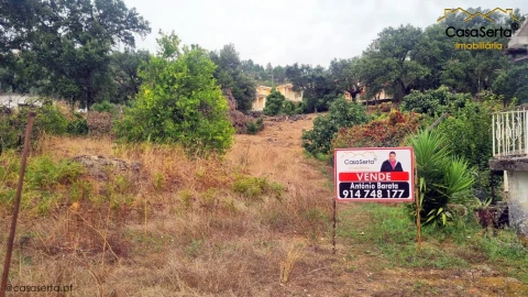 Terreno para Venda em Pedrogão Pequeno